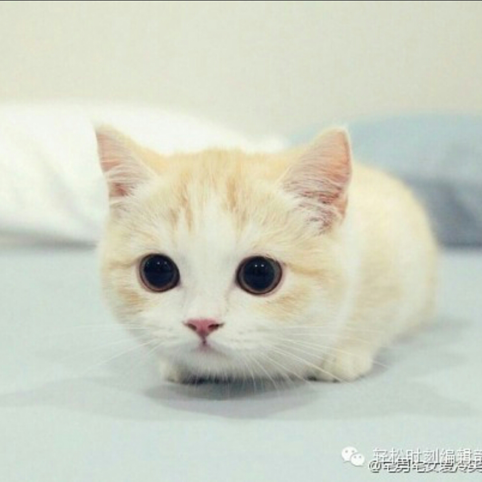 http://img1.android.d.cn/android/new/game_image/99/17199/2_0.8.jpg_史诗之心v10_EpicHearts_安卓版APK下载_安
