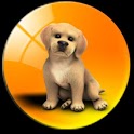 他社区宠物 v2.4.9