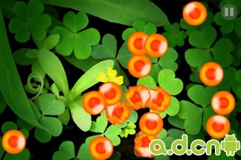 鲑鱼卵 v1.0.13_Salmon Roe_安卓Android手机游戏免费下载_中国第一安卓Android游戏门户(android.d.cn)