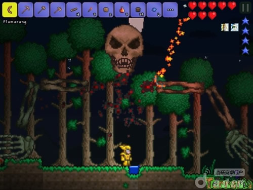 《泰拉瑞亚 Terraria》