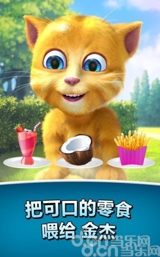会说话的金杰