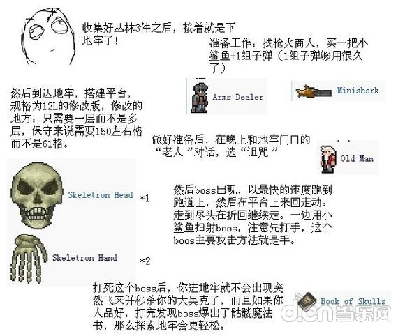 泰拉瑞亚