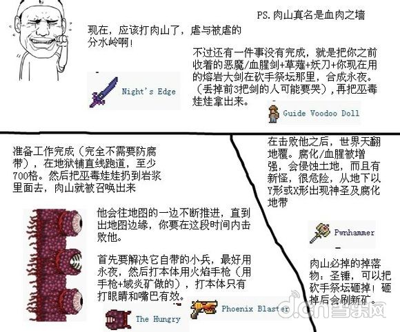 泰拉瑞亚