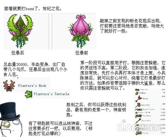 泰拉瑞亚