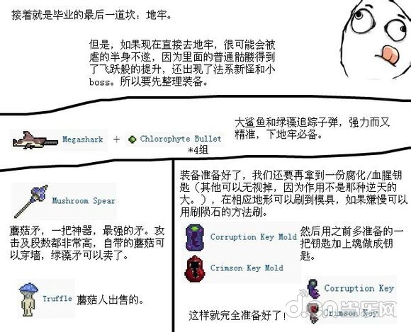 泰拉瑞亚