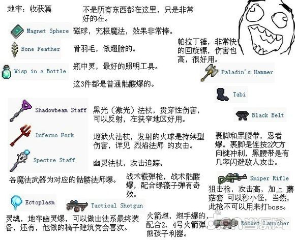 泰拉瑞亚
